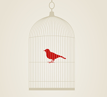 网络ddos攻击软件