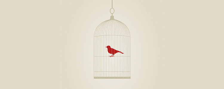 网络ddos攻击软件